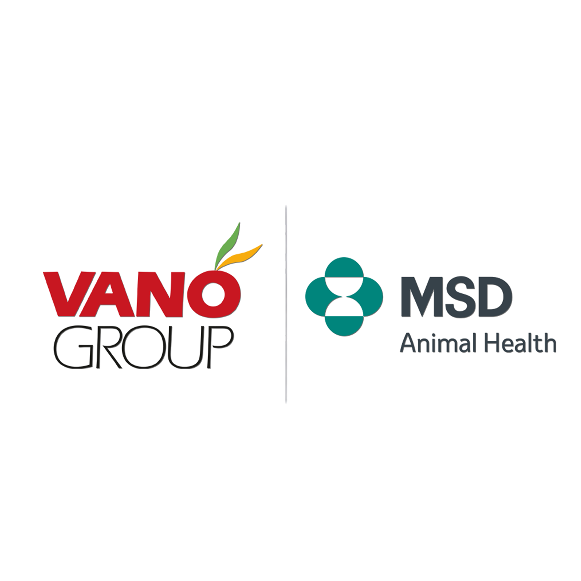 New Exclusive Distribution Partnership In Iraq Between Vano Group and MSD Animal Health